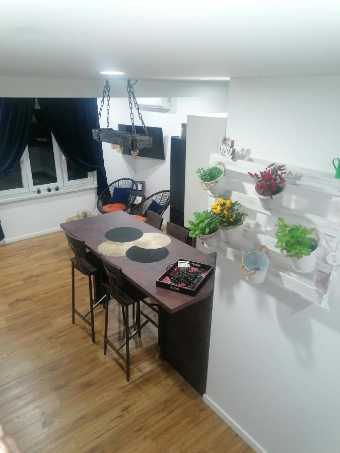 Apartmani Kiko Poreč Dış mekan fotoğraf